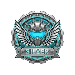 Silver badge